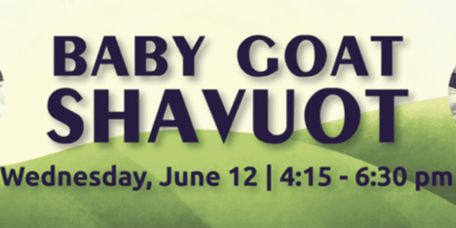 Celebrate New Life at the Milk and Honey Farm at Baby Goat Shavuot!